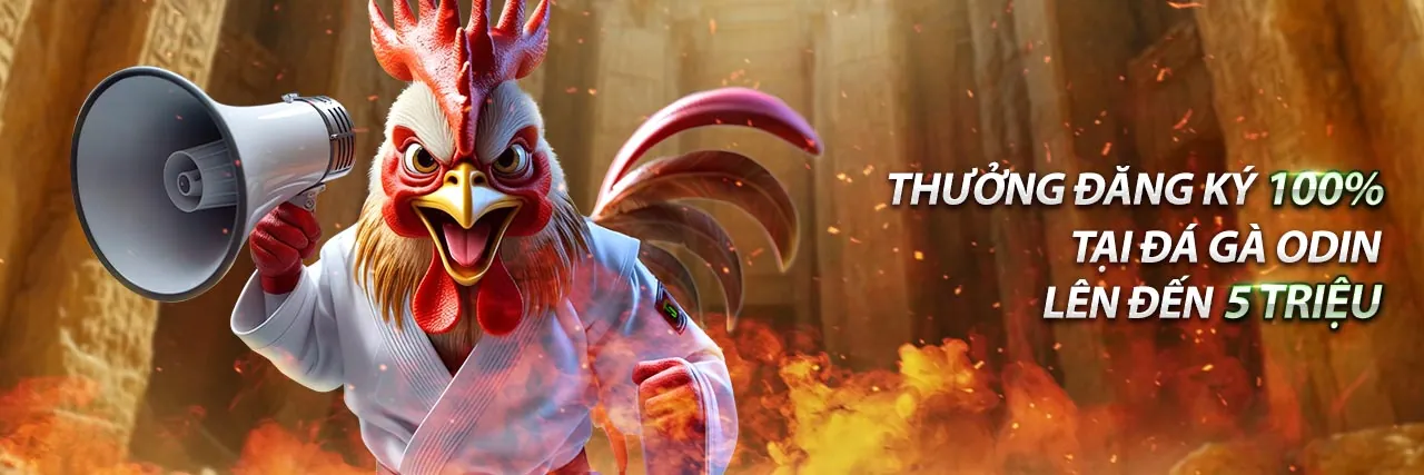 Hình ảnh chính sv388 link cá cược đá gà trực tuyến